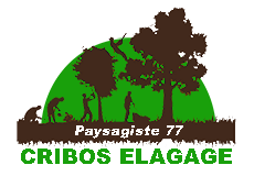 CRIBOS Pierre Elagage 77